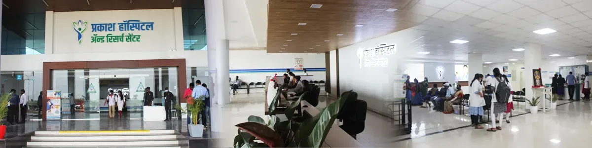 campus 8