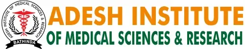 AIMSR library header image