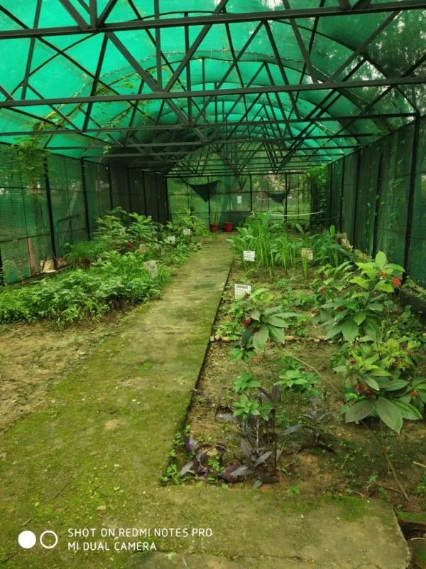 campus 5