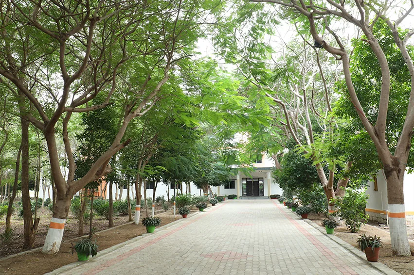 campus 3