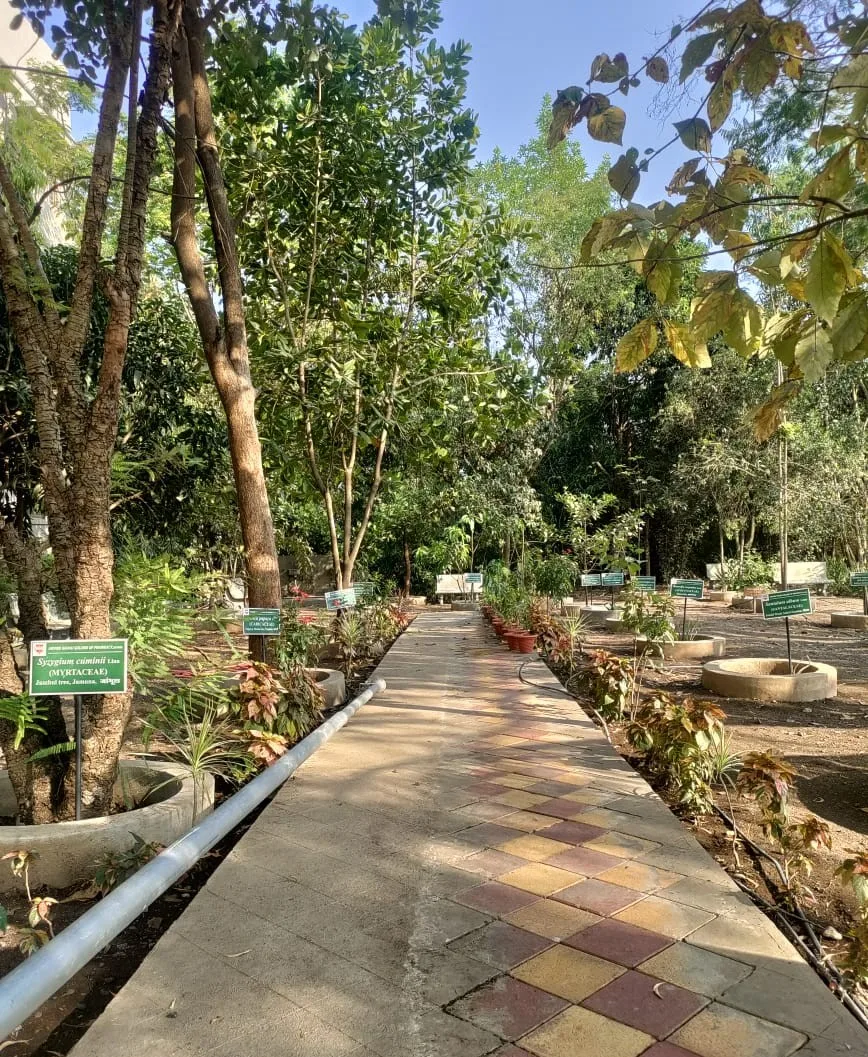 Garden facility view 3 — Arvind Gavali College of Pharmacy