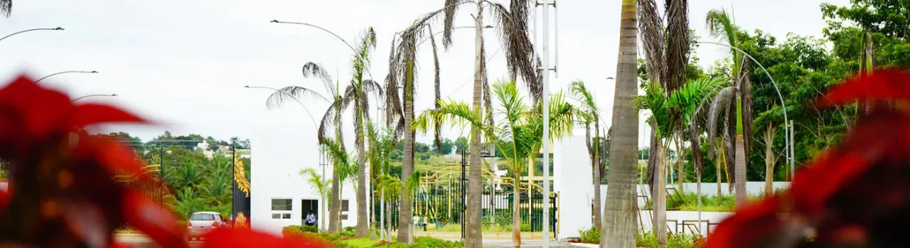 Palm-lined approach and gardens at the entrance of the FAME campus, Mysuru