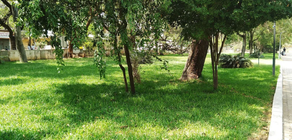 campus 4