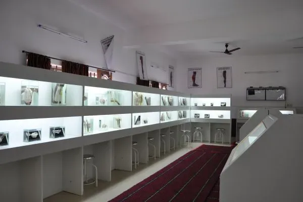 Anatomy museum gallery with backlit specimen shelves and anatomical charts, Kanachur Institute of Medical Sciences