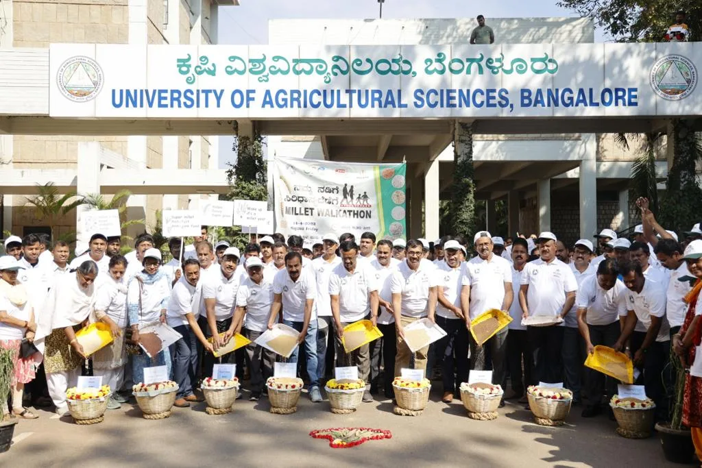 campus 5