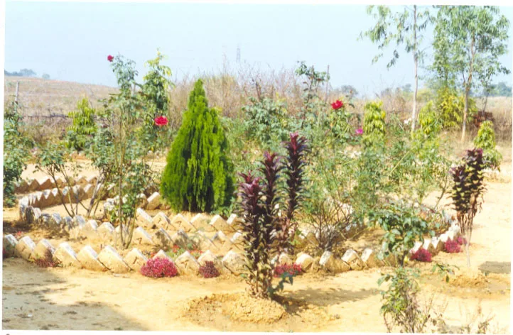 Garden — gayatri-college-of-pharmacy-sambalpur