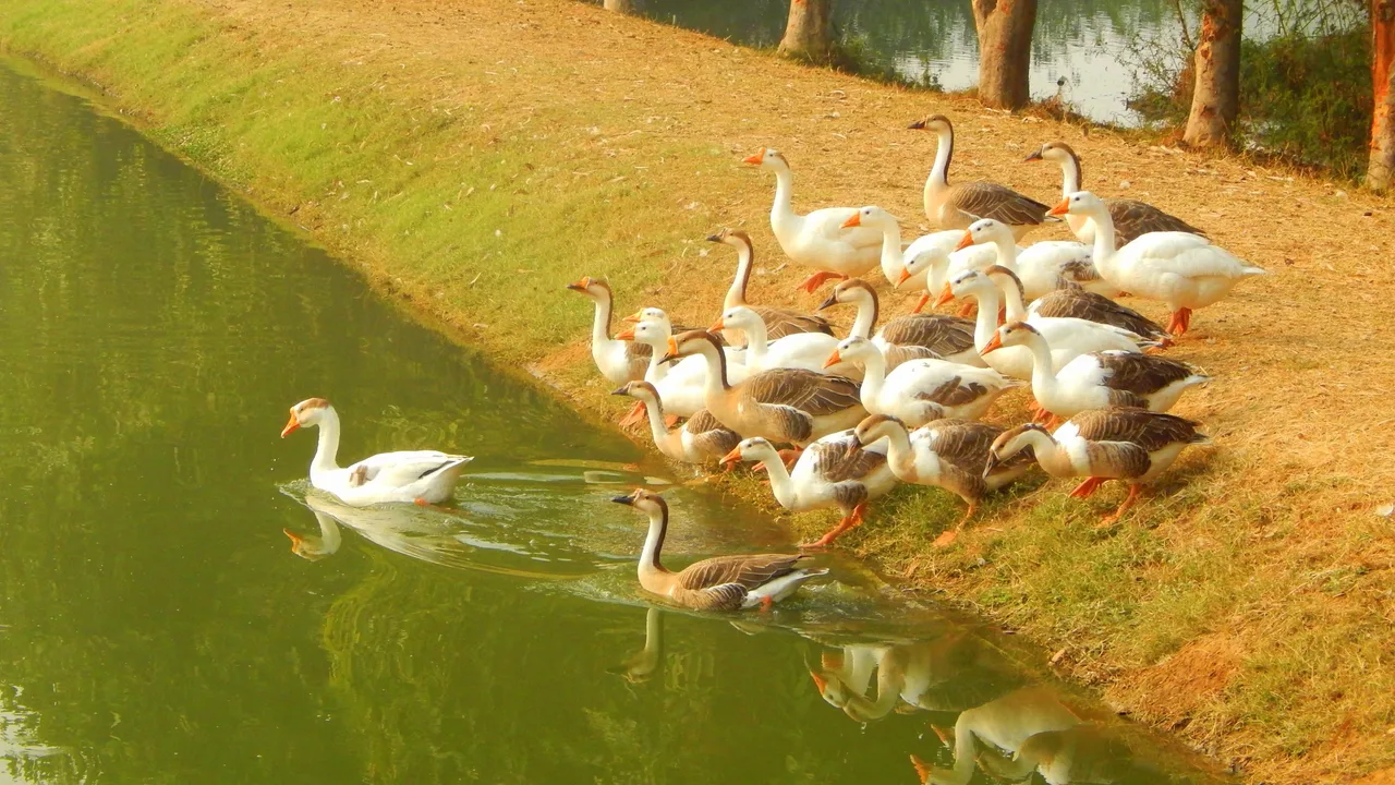 Longowal Gate — Sant Longowal Institute of Engineering & Technology