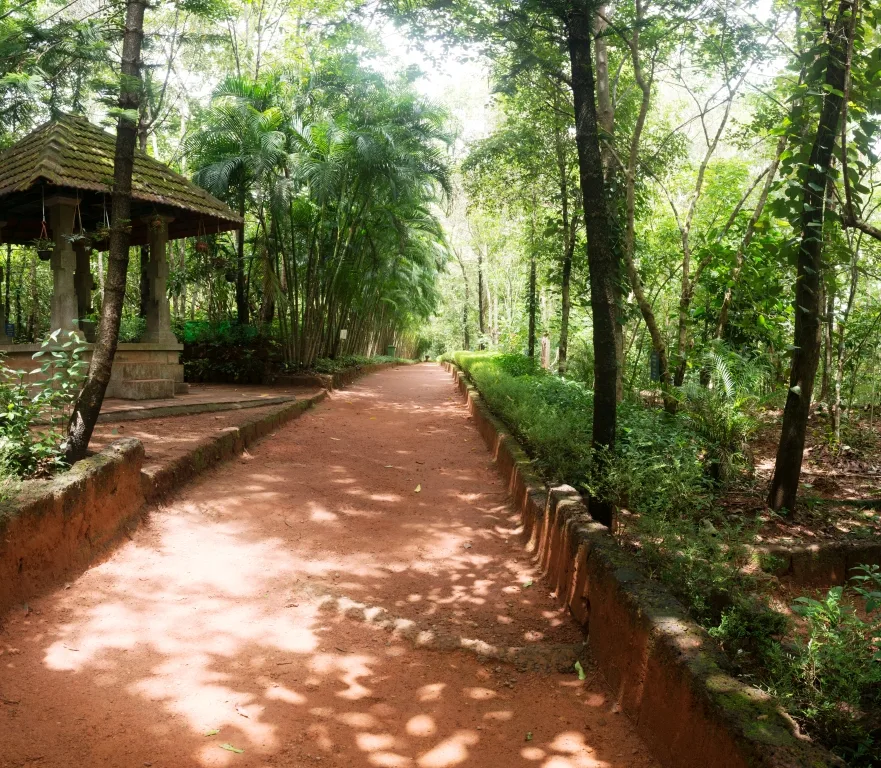 campus 8