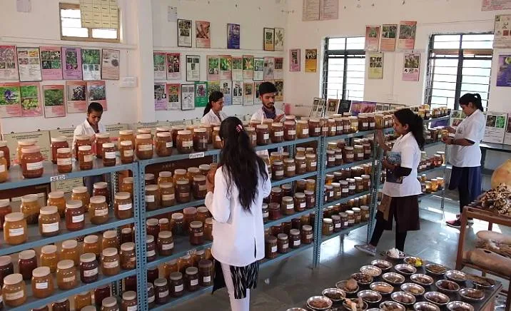 campus 7