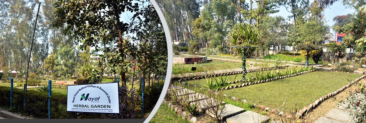 campus 5