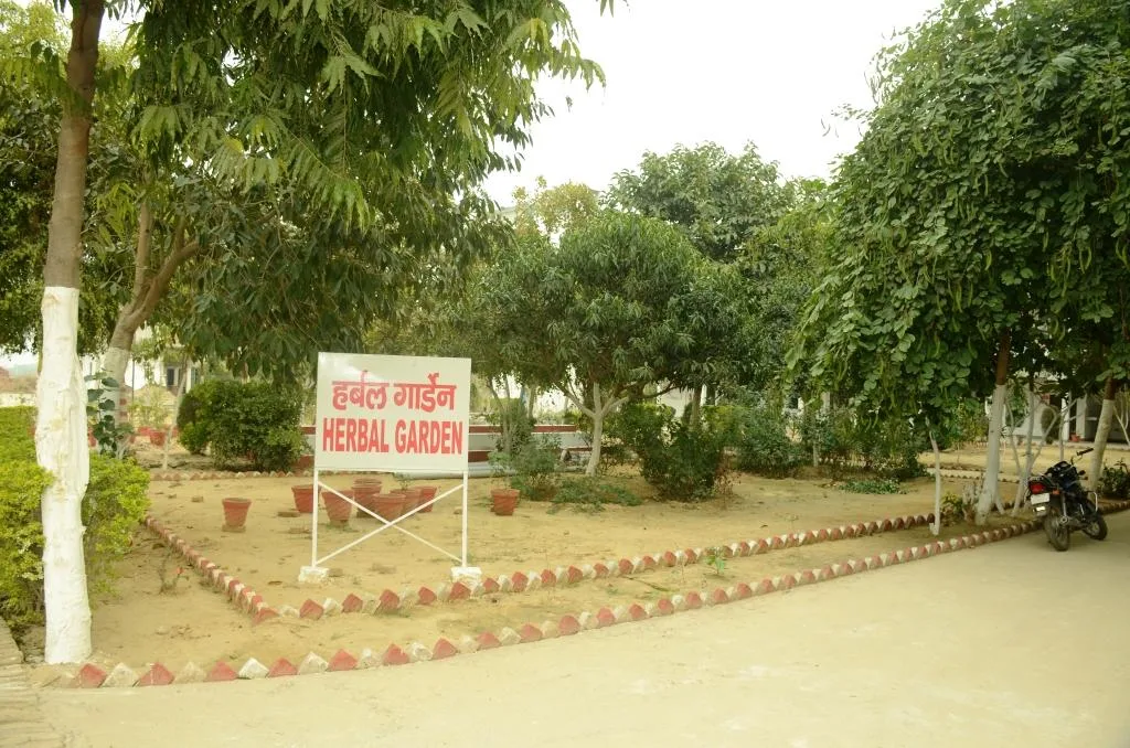 campus 4