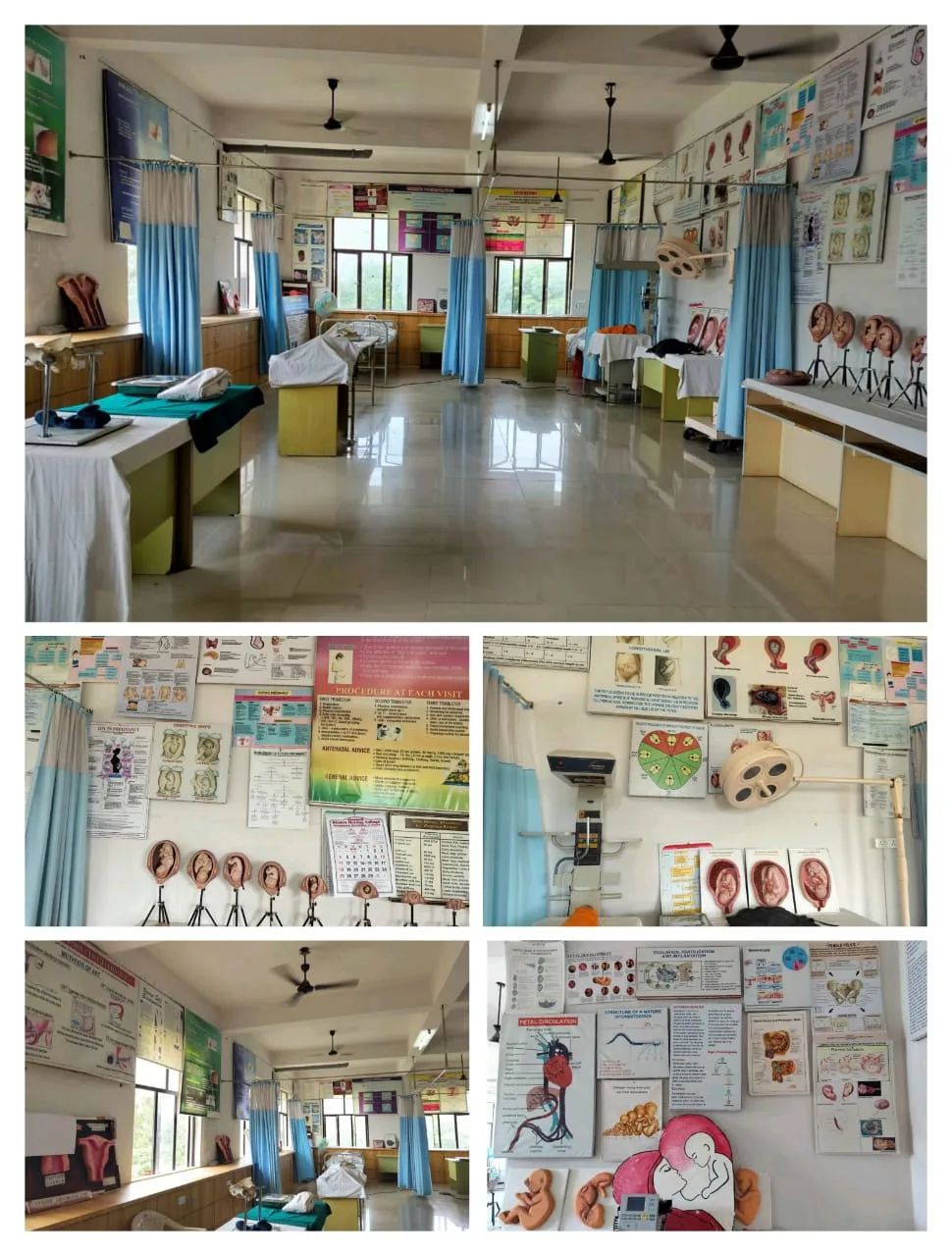 campus 8