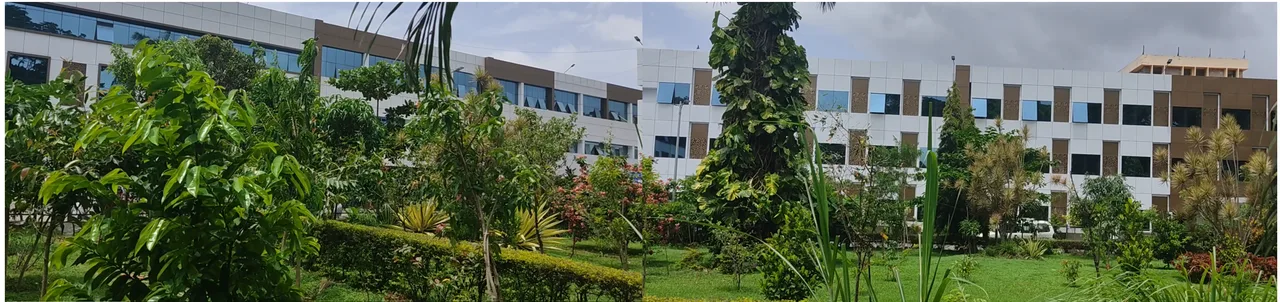campus 2