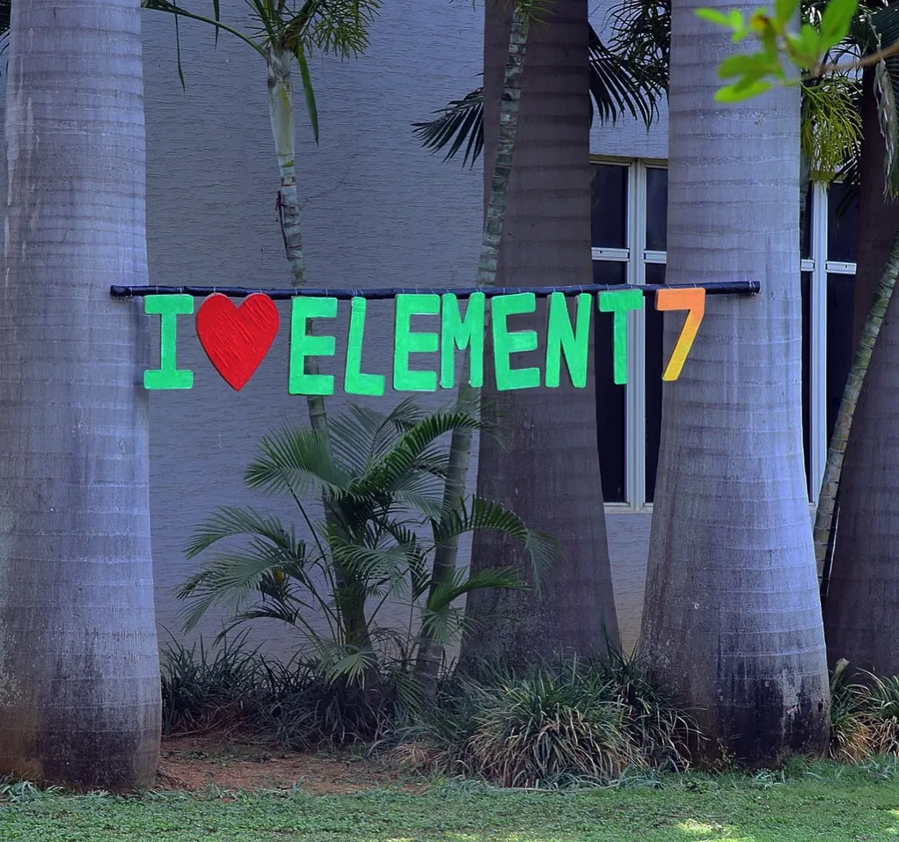 campus 7