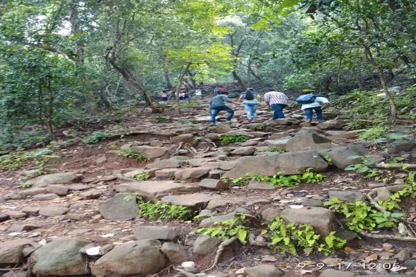campus 2