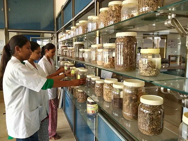 campus 5