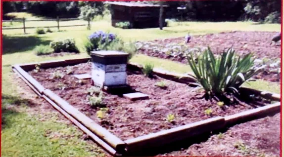 Harbal Garden — jan-kalyan-institute-of-technical-excellence-lucknow