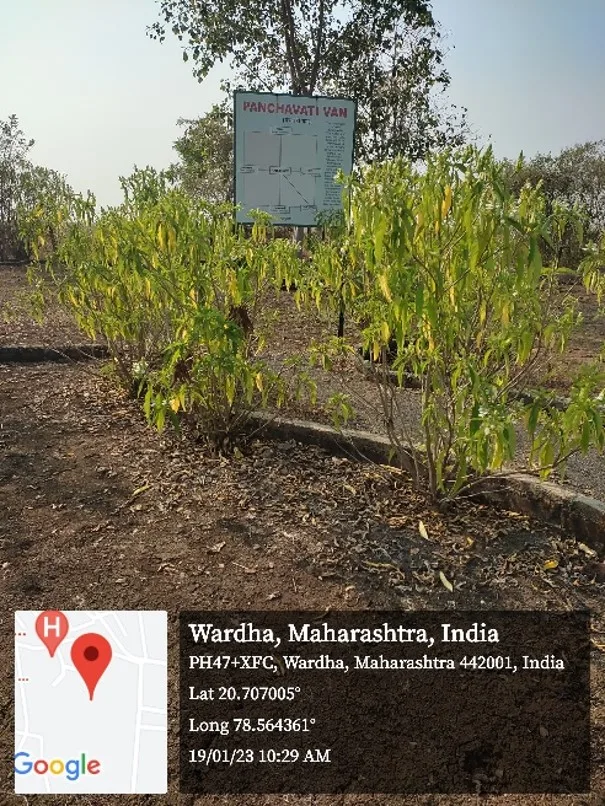 Panchvati van — Datta Meghe Institute of Higher Education and Research