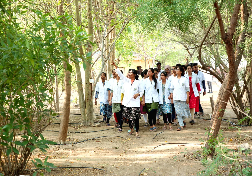 Herbal Garden — Kalmathada Pujya Shri Virupaksha Shivacharya Ayurvedic Medical College and Hospital