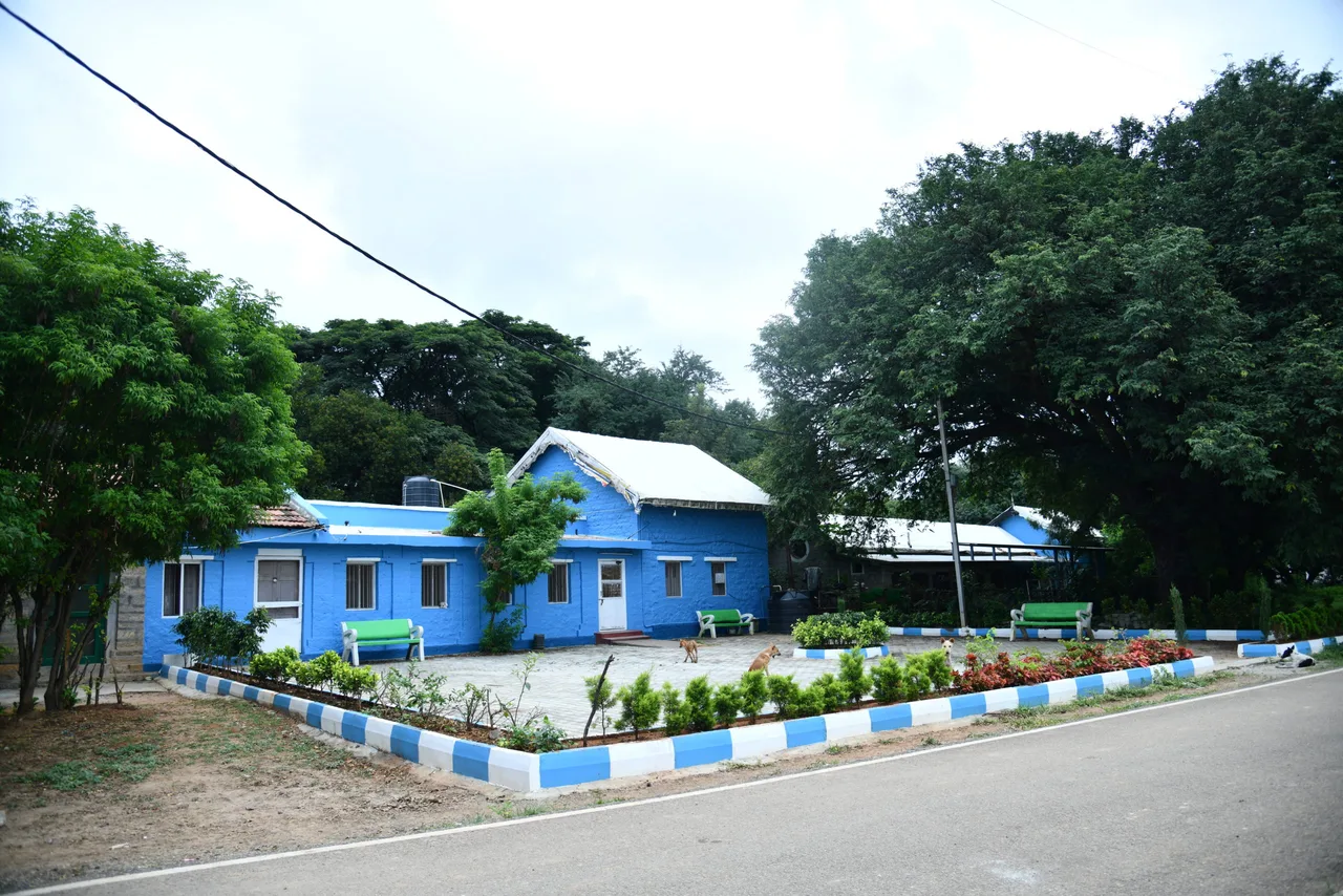 campus 8
