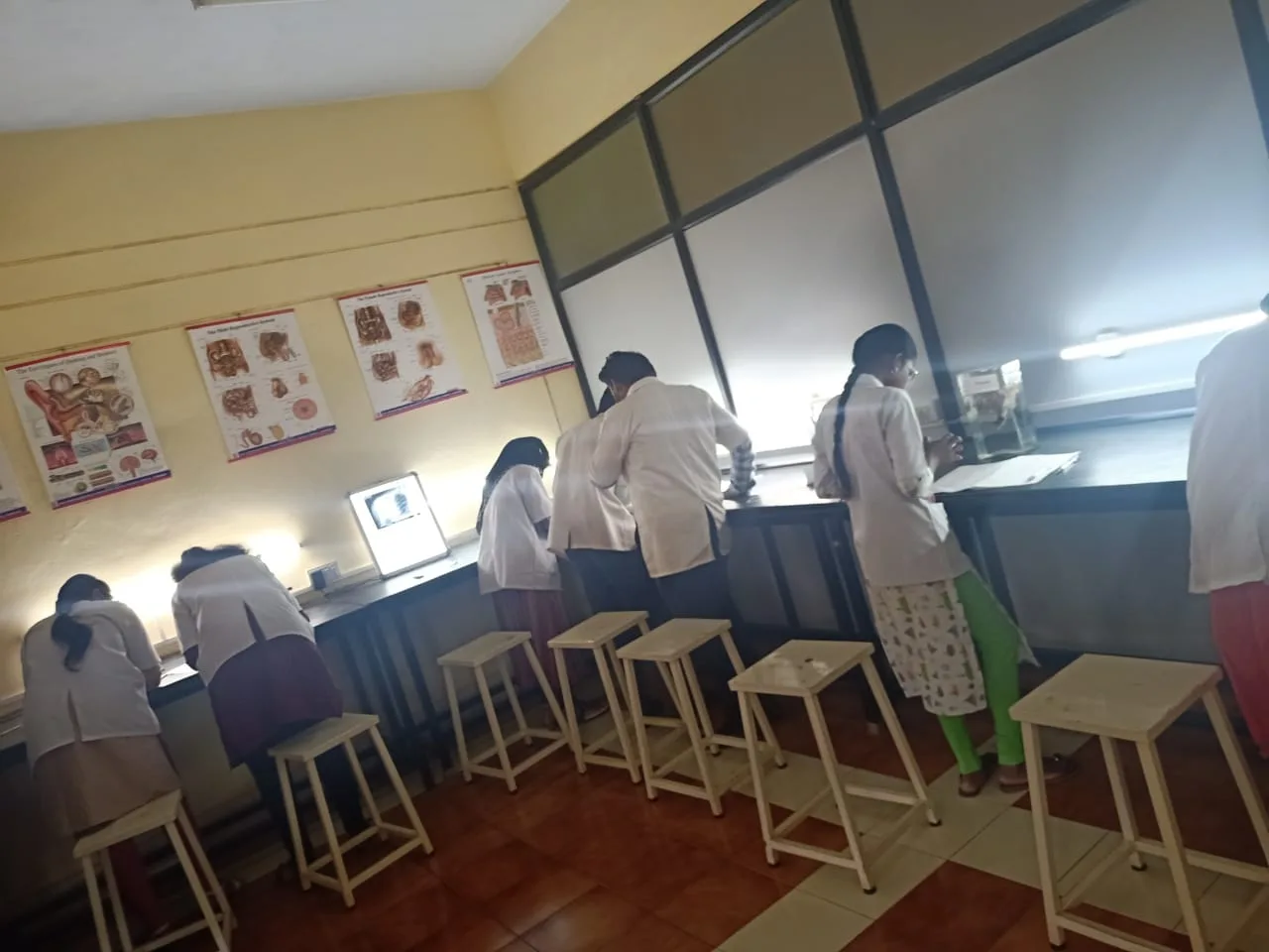 campus 6
