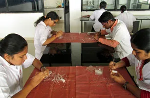 campus 7
