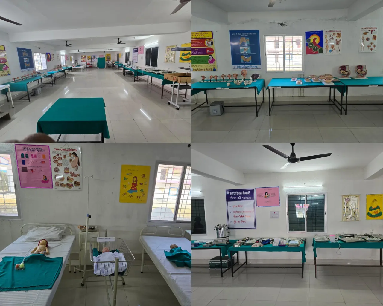 campus 6