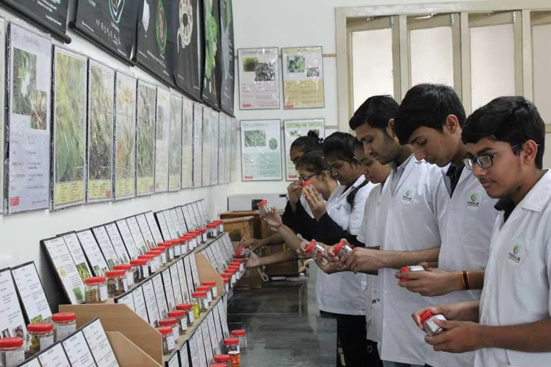 campus 3