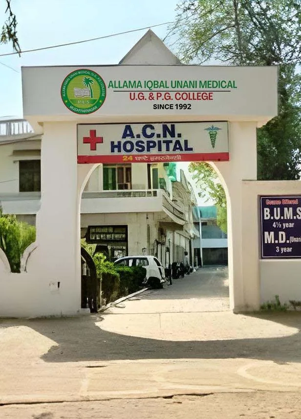 campus 8