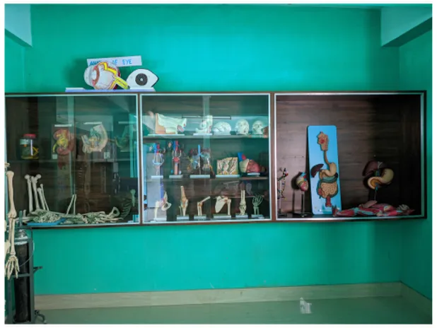 North East Nursing College of Health Sciences campus — north-east-nursing-college-of-health-sciences-naharlagun