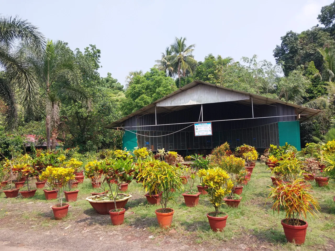 campus 5
