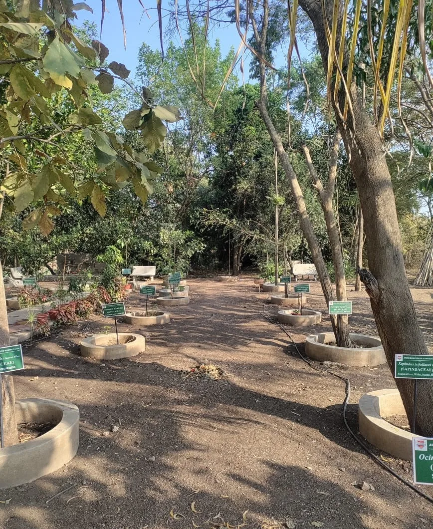 Garden facility view 2 — Arvind Gavali College of Pharmacy