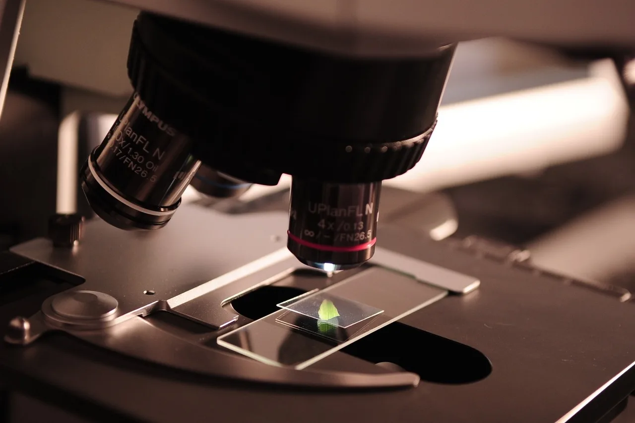 Vidya siri college of pharmacy microbiology_laborat (2)