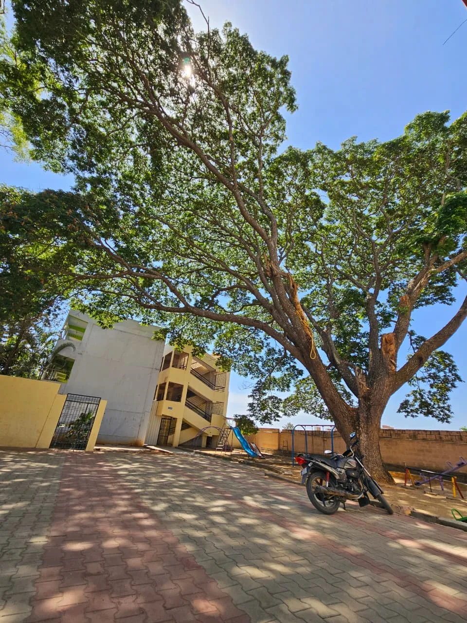 campus 3