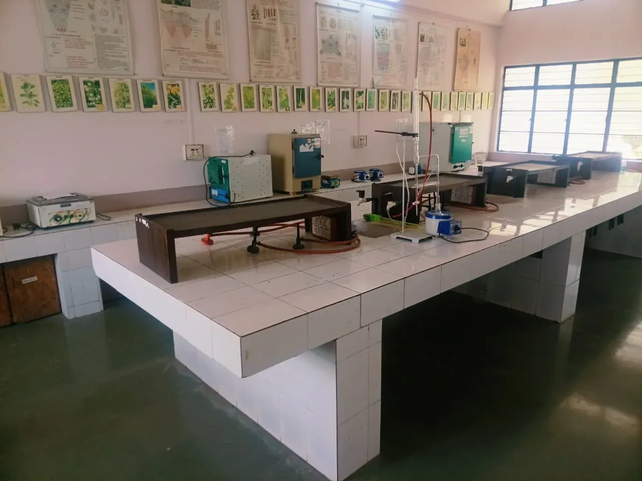 campus 6