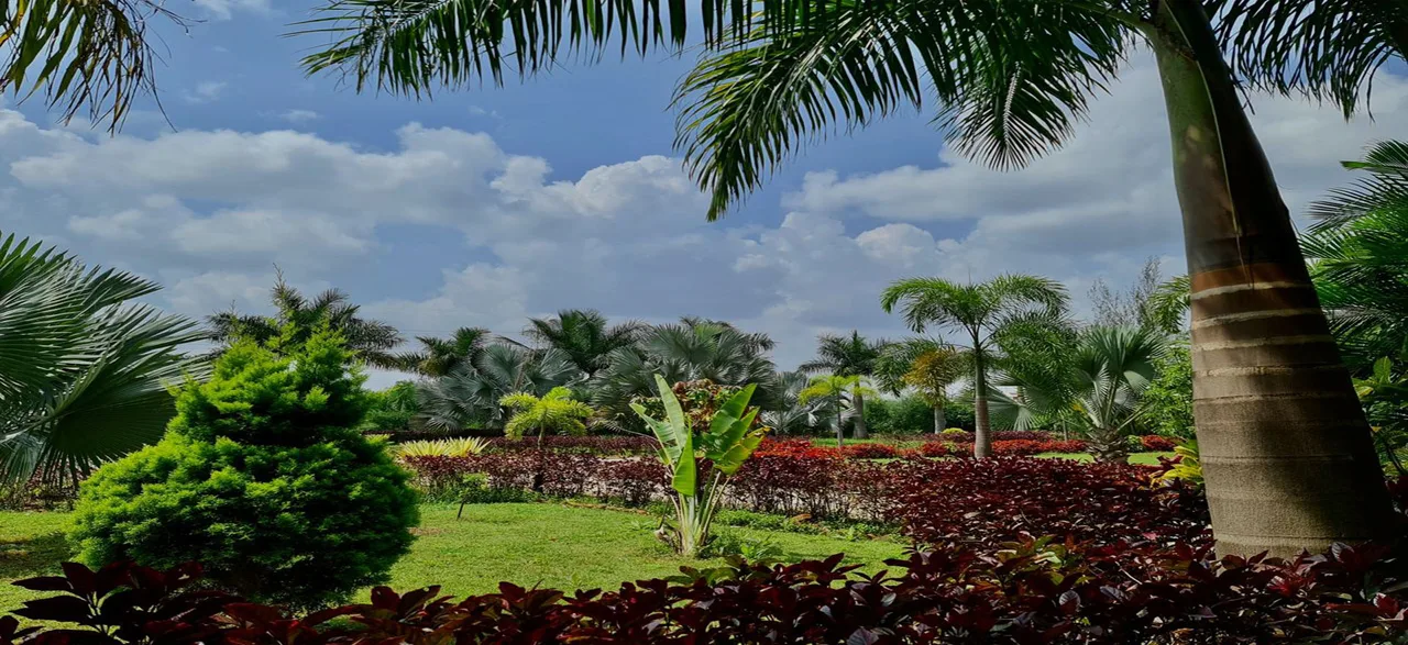 SEA College of Engineering and Technology campus, Bangalore