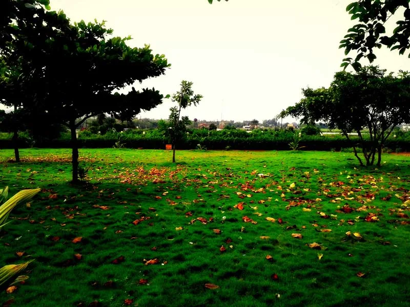 campus 3