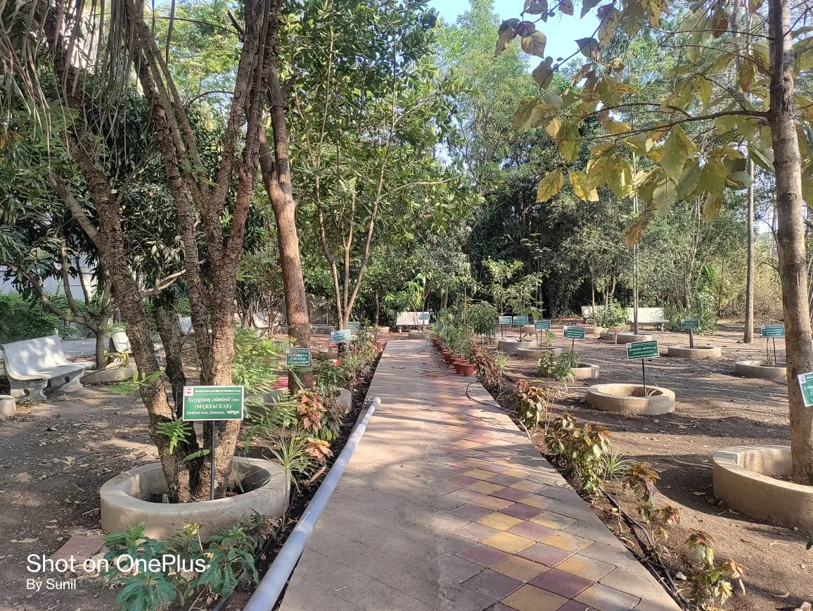 Garden facility view 4 — Arvind Gavali College of Pharmacy