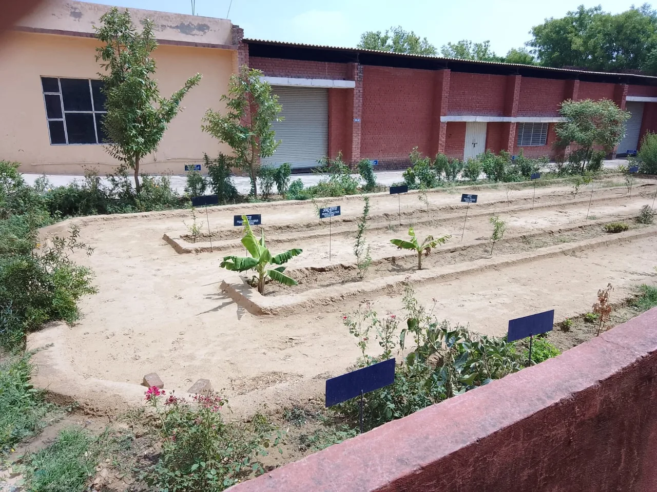 HERBAL GARDEN — Maa Saraswati College of Pharmacy
