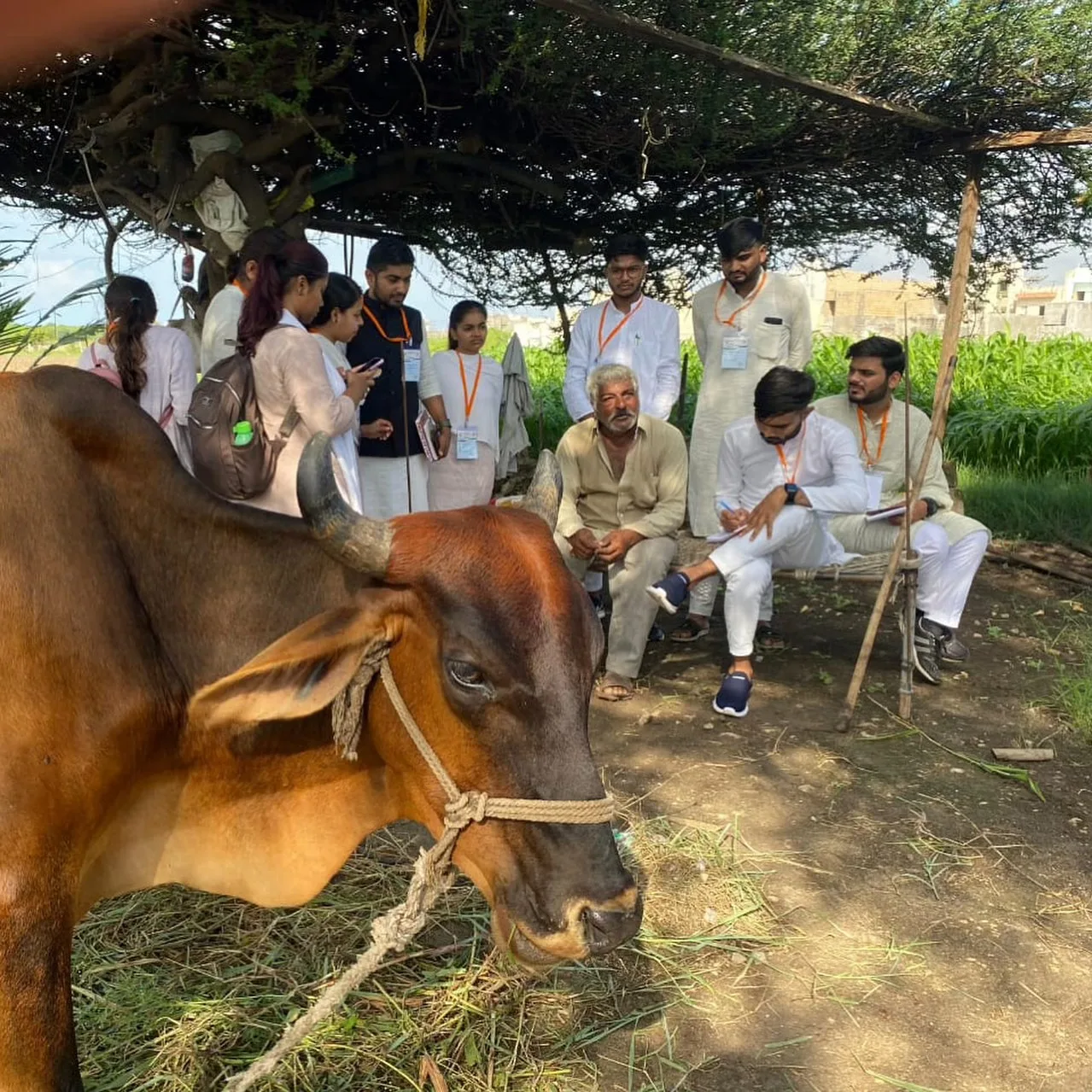 Management and Commerce — Gujarat Vidyapith