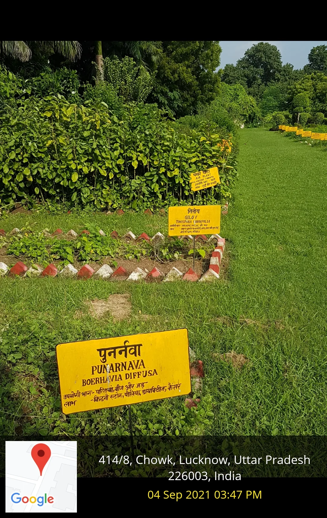 campus 5