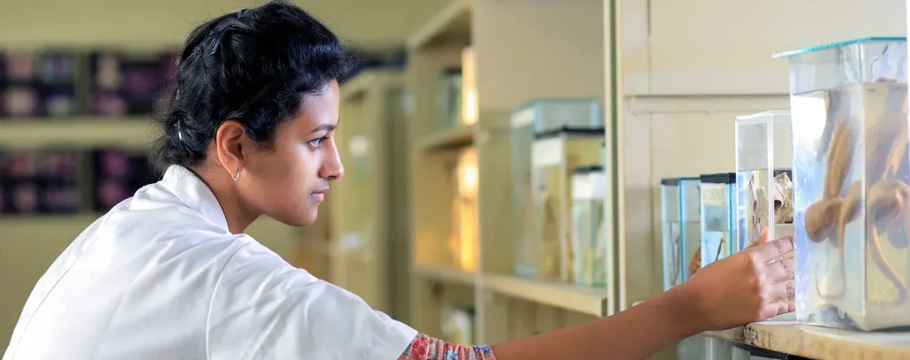 Student studying preserved specimens in the Navodaya Medical College museum
