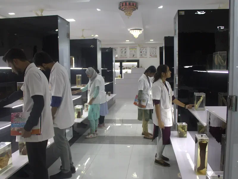FCIMS anatomy museum