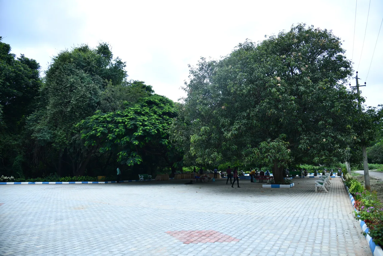 campus 7