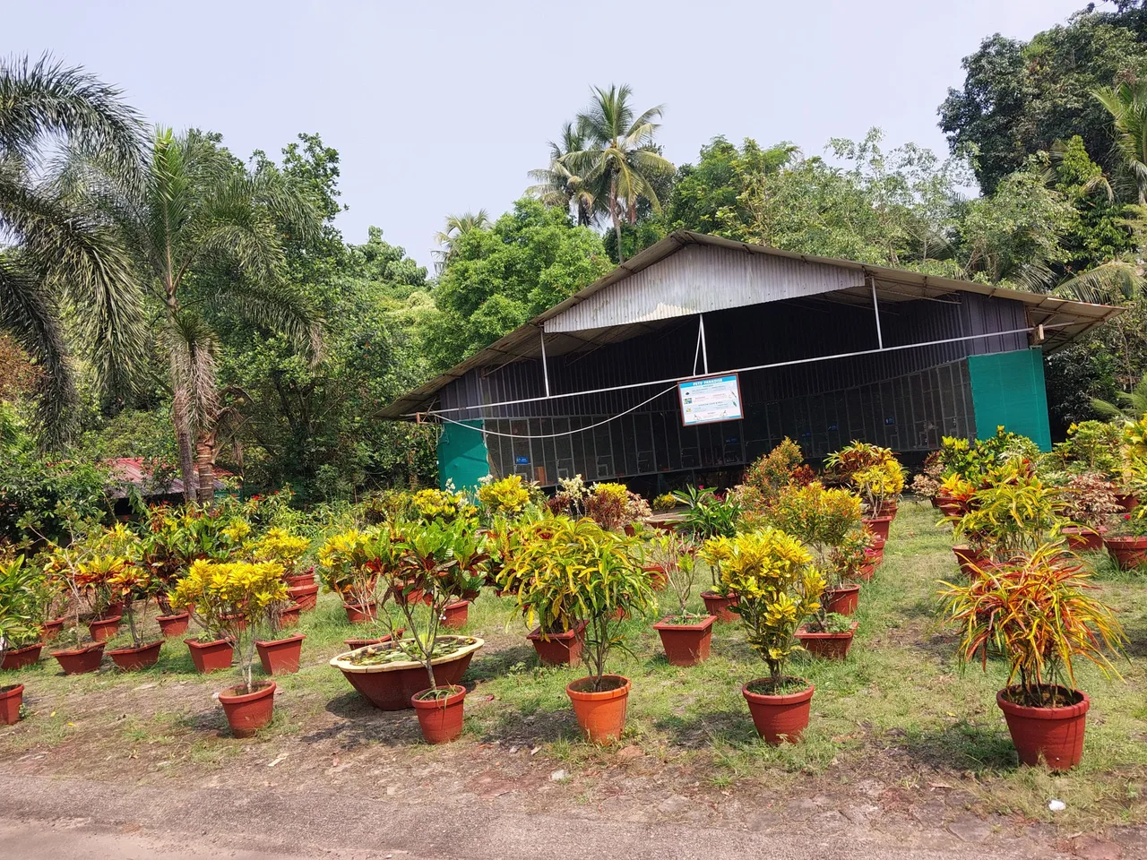 campus 7