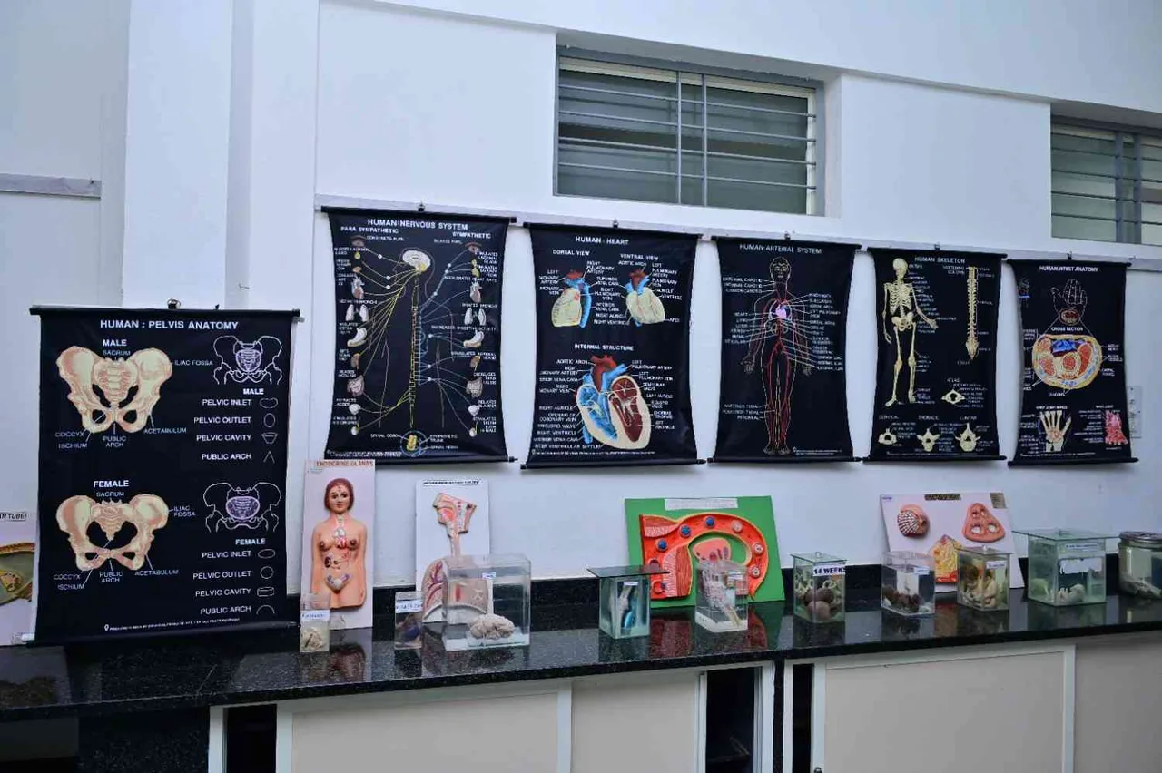 campus 2