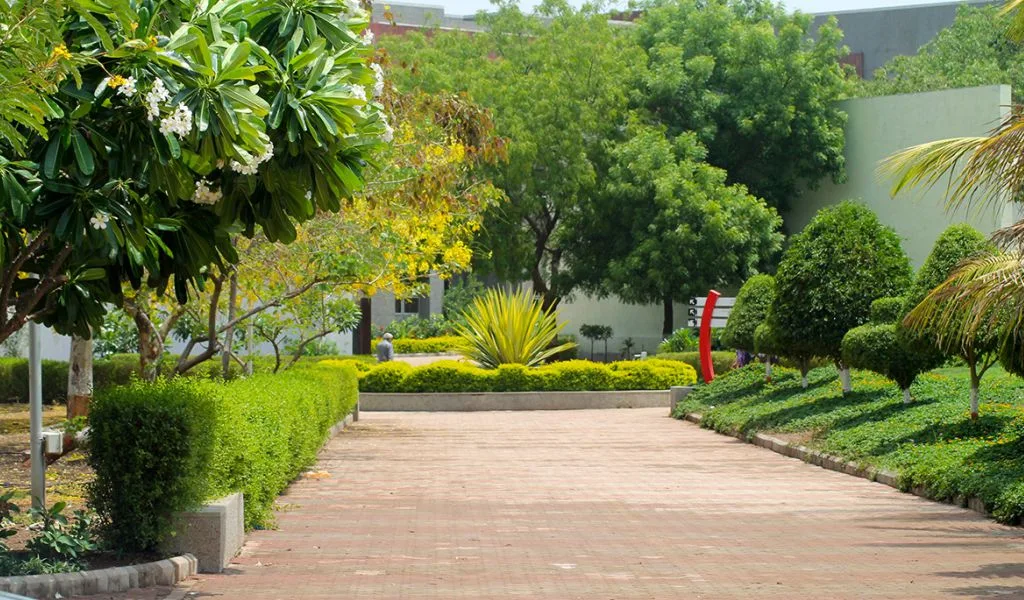 campus 2