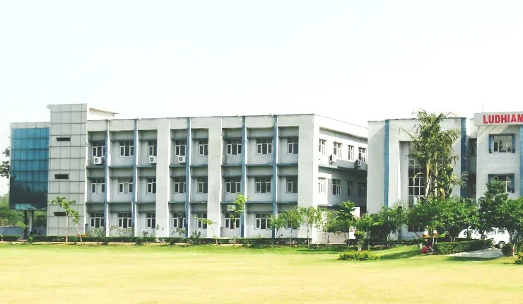 campus 7