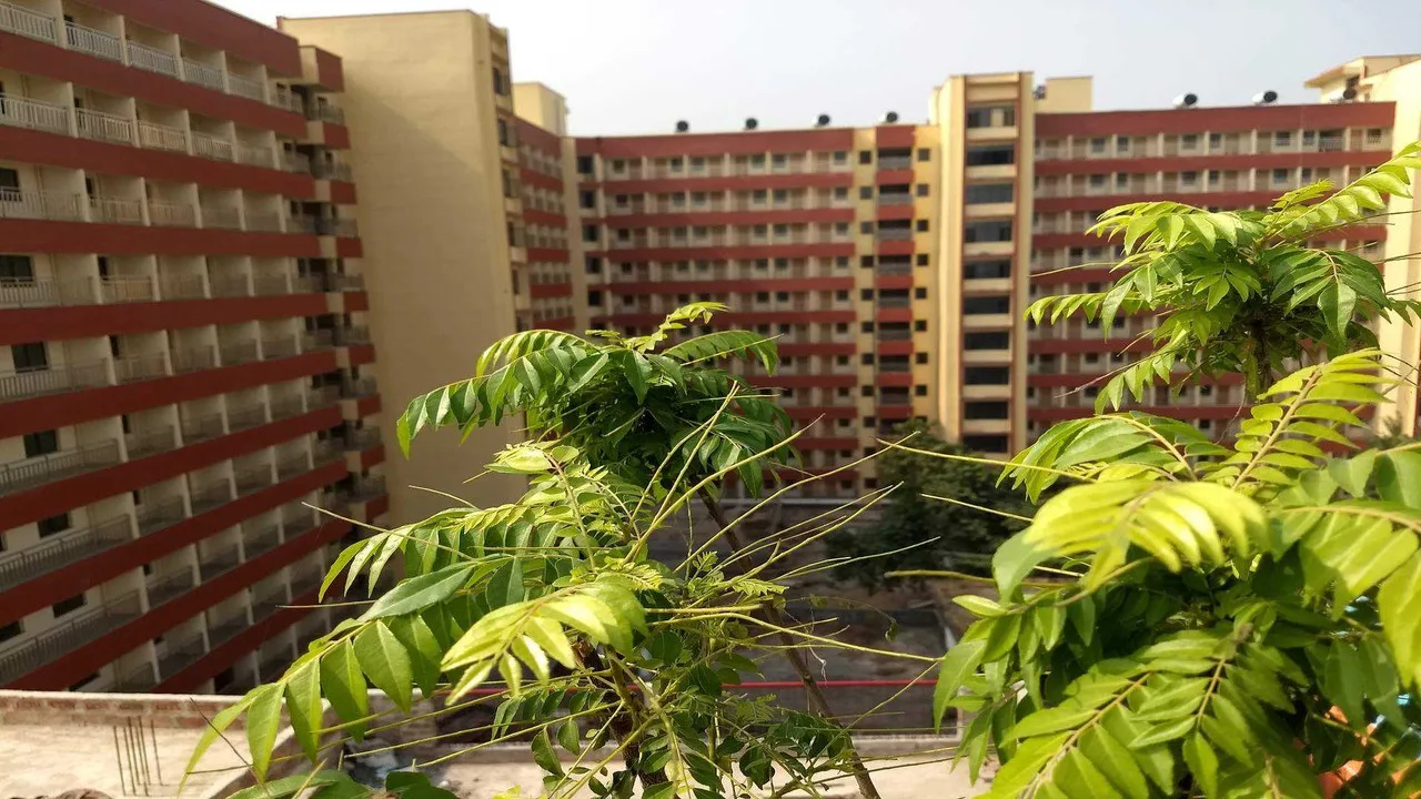 campus photo 3