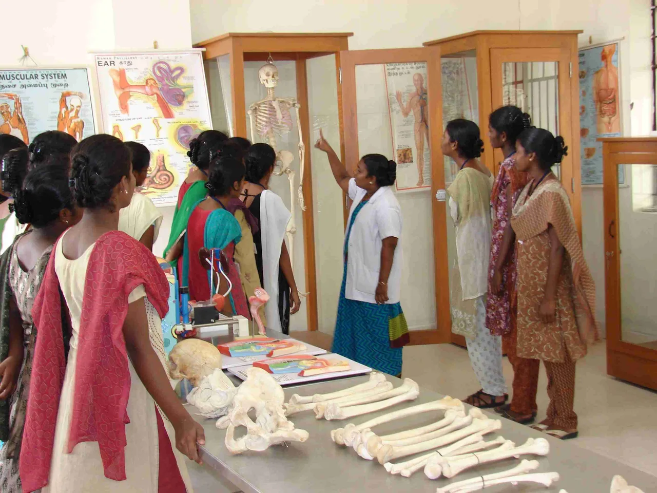 Anatomy & Physiology Laboratory — Jennys College of Nursing